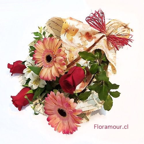 Ramo de flores compuesto de sosas rojas gerberas y alstroemerias envueltas en papel decorativo y cinta de regalo