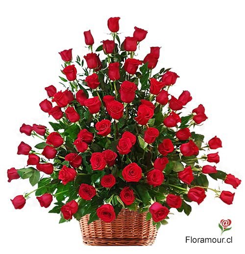 Gran arrimo de ción rosas rojas