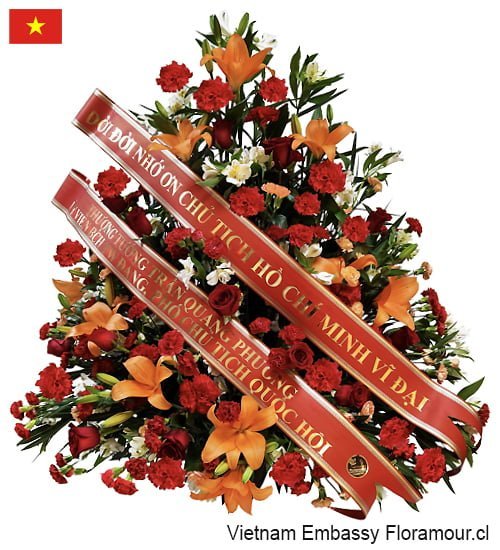 Arrimo Vietnam Rojizo extra con cintas letras impresas