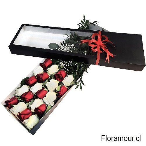 Regala flores a domicilio en Santiago Cajas de rosas importadas con entrega en toda la Región Metropolitana
