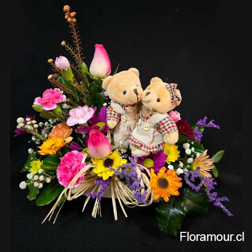 tienois ositos de peluche romantico cariño