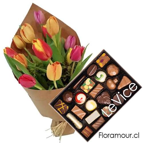 los mejores tulipanes