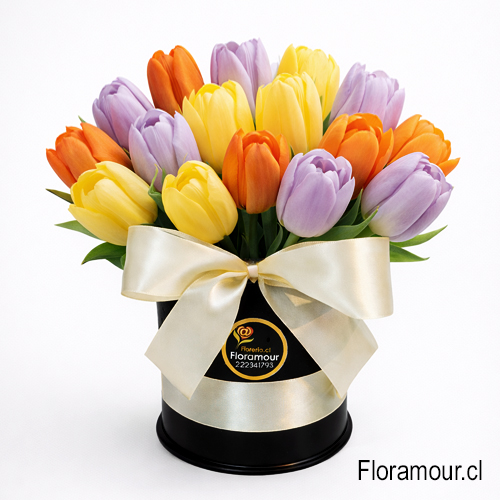 tulipanes premium